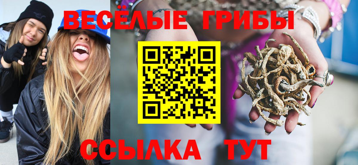 Донской  как найти закладки  Вход с VPN  Псилоцибиновые грибы мухоморы  Галлюциногенные грибы прущие грибы 