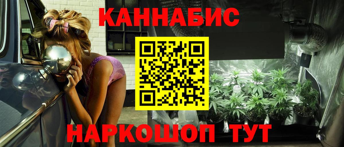 Каннабис MAZAR Донской